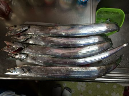 マイポイントで朝練